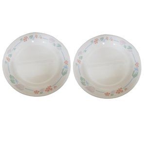 Corelle bread plates lot of 2 rose, green, blue, mauve unidentified pattern